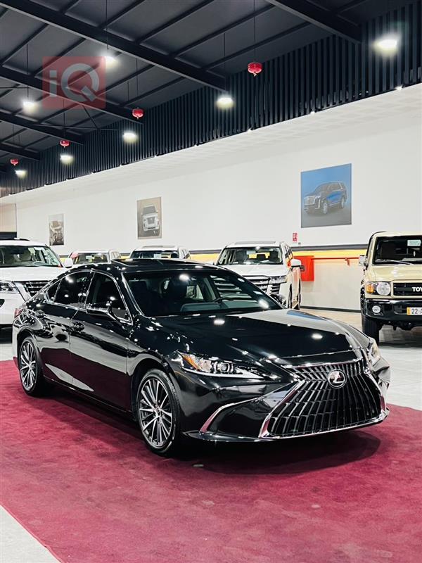 Lexus for sale in Iraq